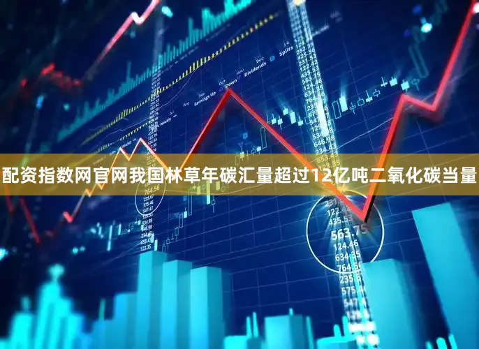 配资指数网官网我国林草年碳汇量超过12亿吨二氧化碳当量