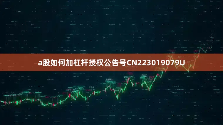 a股如何加杠杆授权公告号CN223019079U
