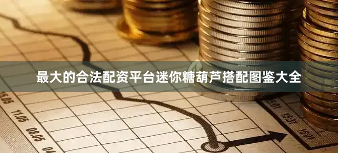 最大的合法配资平台迷你糖葫芦搭配图鉴大全