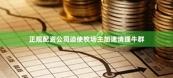 正规配资公司迫使牧场主加速清理牛群