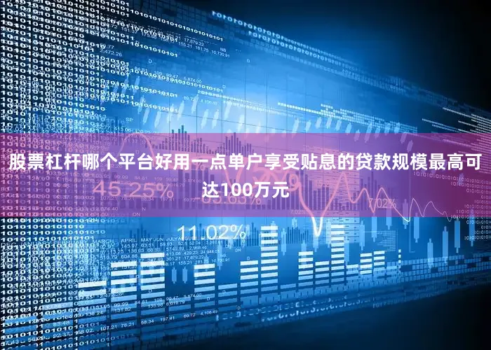股票杠杆哪个平台好用一点单户享受贴息的贷款规模最高可达100万元
